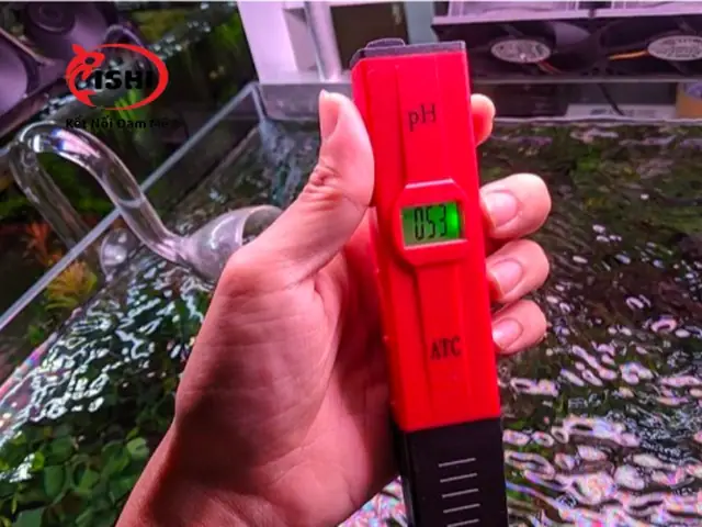 Ngâm Nước Và Kiểm Tra Độ Ph