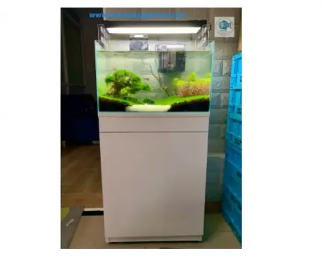 Combo Full Bộ Bể Cá Mini 50cm, Bể Cá Thủy Sinh Giá Rẻ Combo Full Bộ Bể Cá Mini 50cm, Bể Cá Thủy Sinh Giá Rẻ