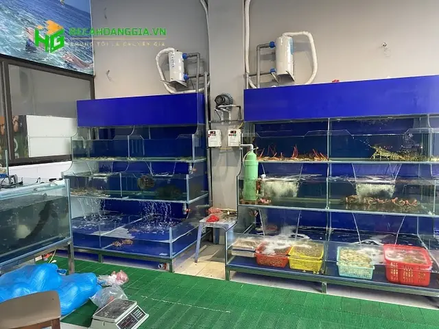 Bể Hải Sản Tại Nhà Hàng Bảo Sơn - Bể Cá Hoàng Gia | Siêu Thị ...