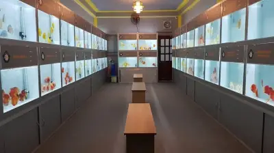 Top 7 Cửa Hàng Cá Cảnh Tại Nha Trang - Vi Sinh Cá Cảnh ...
