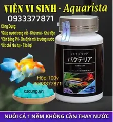 Sinh Viên Nén Aquarista Nhật Bản (hộp 100 Viên) | Cá Cưng