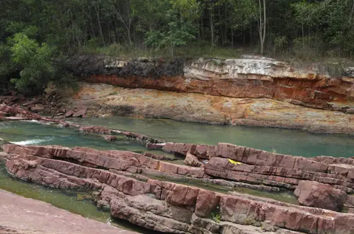 Hồ Cá Nóc Tây Ninh: Điểm Đến Giáo Dục Và Giải Trí Cho Cả Gia Đình