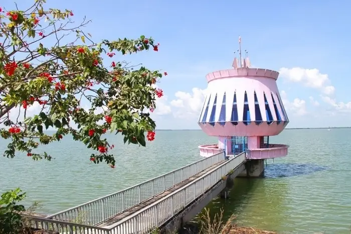 Hồ Cá Nóc Tây Ninh: Điểm Đến Giáo Dục Và Giải Trí Cho Cả Gia Đình