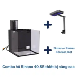 Hồ Cá Cảnh Biển - Rin Aquarium