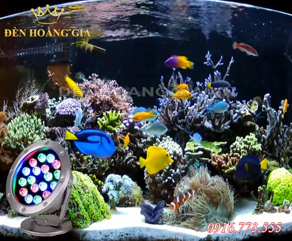 Đèn Led Âm Nước Chiếu Điểm Cho Hồ Cá Nước Mặn