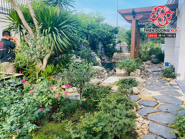 Mảng Xanh Từ Cây Điểm Nhấn Hoàn Hảo