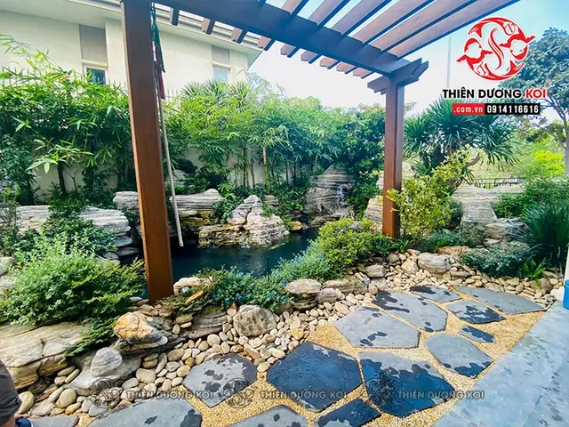 Tại Sao Nên Chọn Thi Công Hồ Cá Koi Quận 9 Cùng Thiên Dương Koi?