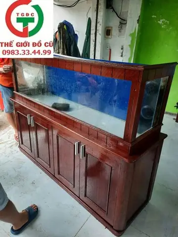 Hồ Cá Rồng Cũ Giá Rẻ Bán Ở Đâu Vậy? Hồ Cá Rồng Cũ Giá Rẻ Bán Ở Đâu Vậy?