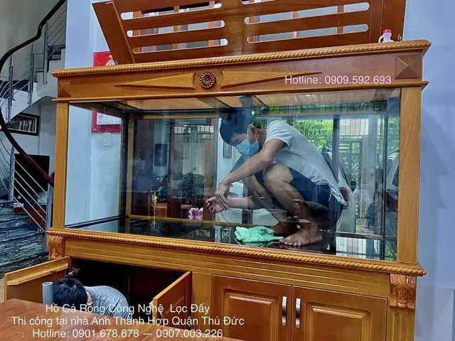 Cho Cá Rồng Nuôi Ngoài Trời Ăn Đúng Kỹ Thuật