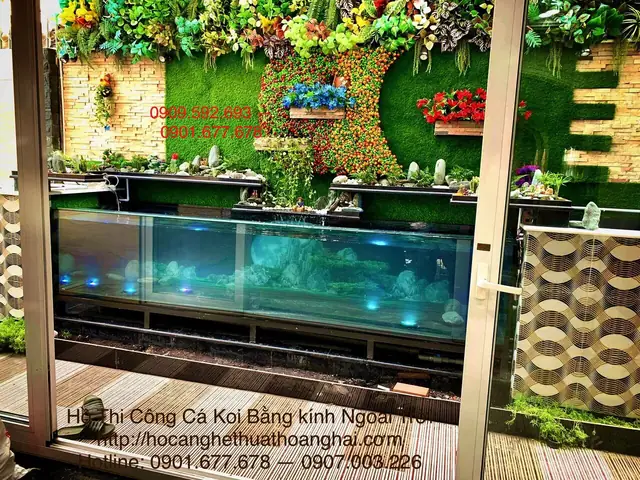 Thi Công Hồ Cá Rồng Ngoài Trời Tiêu Chuẩn