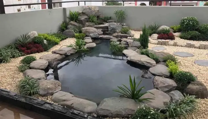 Bước 5: Trang Trí Và Vận Hành Hồ Cá Bước 5: Trang Trí Và Vận Hành Hồ Cá