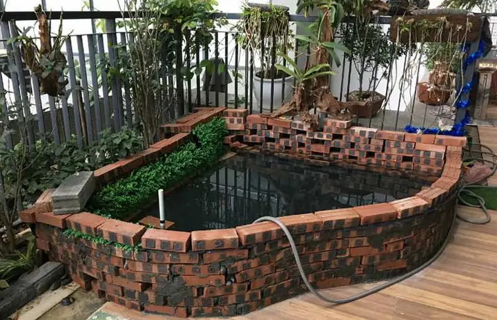 Những Lưu Ý Khi Làm Hồ Cá Trên Sân Thượng+ Những Lưu Ý Khi Làm Hồ Cá Trên Sân Thượng+