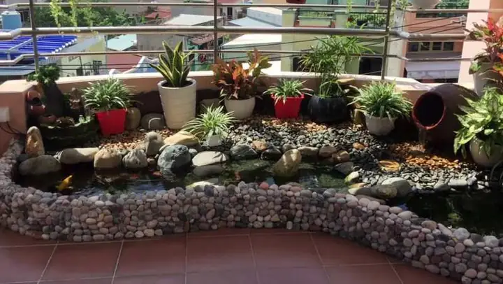 Có Nên Làm Hồ Cá Trên Sân Thượng? Có Nên Làm Hồ Cá Trên Sân Thượng?