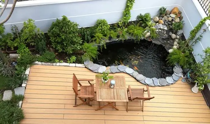 Bước 1: Lên Ý Tưởng Thiết Kế Hồ Cá Và Chuẩn Bị Bước 1: Lên Ý Tưởng Thiết Kế Hồ Cá Và Chuẩn Bị