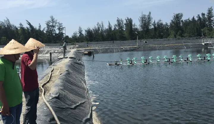 Sinh Xử Lý Đáy Ao Hồ Cá, Tôm