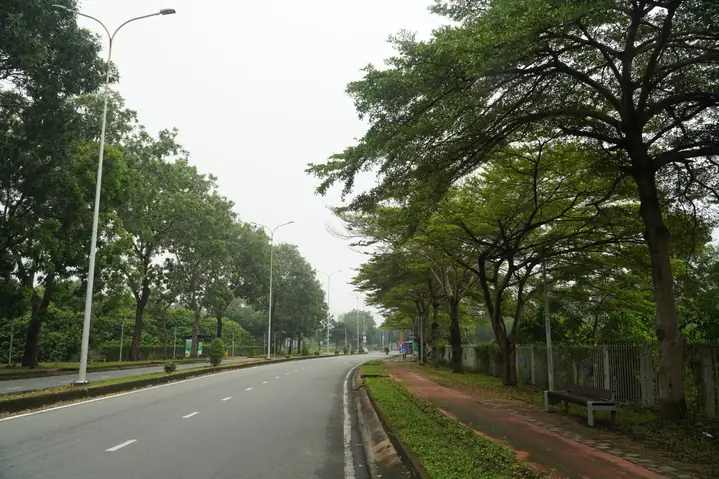 Hồ Cá Sinh Viên Thủ Đức