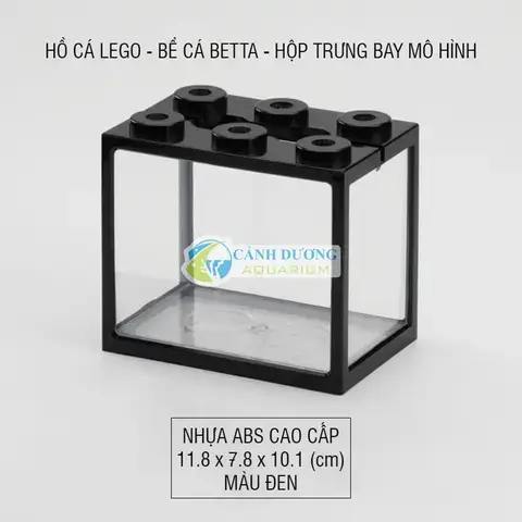 Các Yếu Tố Cần Cân Nhắc Khi Chọn Mua Hồ Cá Thủy Sinh Mini Để Bàn Tại Tphcm