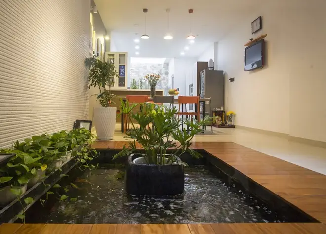 Hồ Cá Trong Nhà Phố: Thiết Kế, Bảo Dưỡng & Giá Trị Tinh Thần