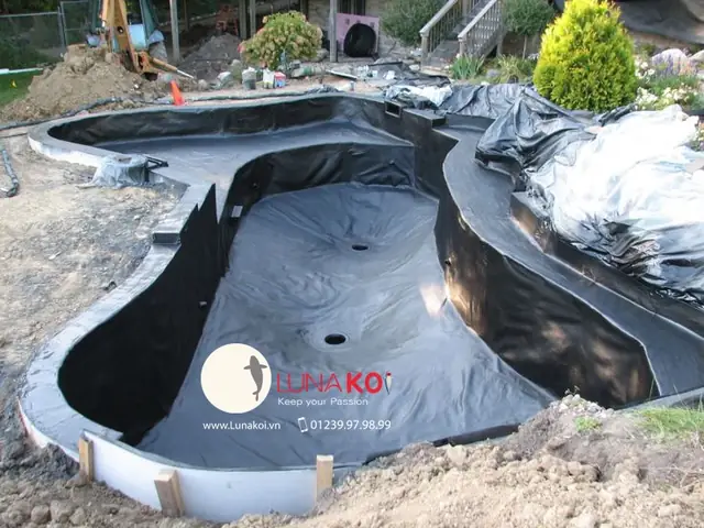 Bước 4: Tạo Hình Dáng Hồ Cá Koi Theo Ý Muốn