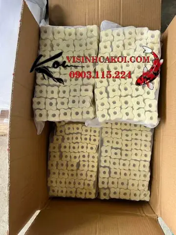 Vật Liệu Lọc Thiết Yếu Cho Hệ Thống Lọc Hồ Koi Ngoài Trời