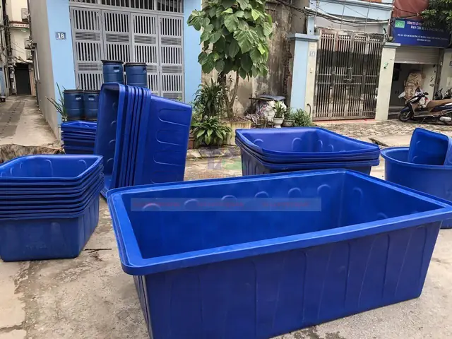 Hồ Nhựa Nuôi Cá Cảnh