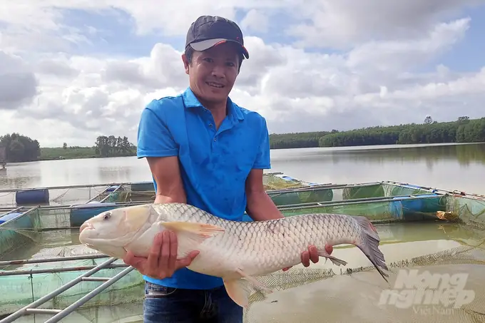 Hỗ Trợ Nuôi Cá Chép Giòn