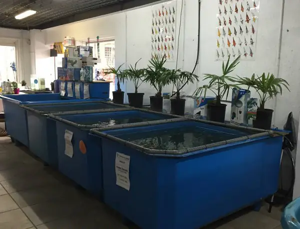 Tank Nhựa Hình Chữ Nhật Thường Được Sử Dụng Trong Trường Hợp Nào?