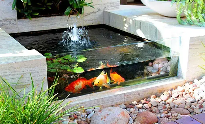 Hướng Dẫn Toàn Tập Về Hồ Nuôi Cá Koi Mini - Giải Pháp Hoàn Hảo Cho Không Gian Nhỏ