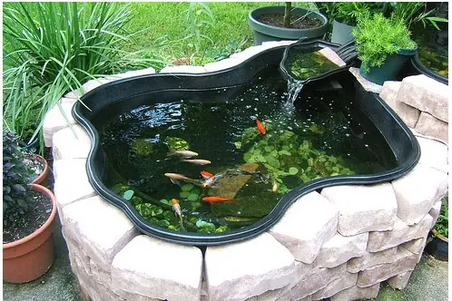 Hướng Dẫn Toàn Tập Về Hồ Nuôi Cá Koi Mini - Giải Pháp Hoàn Hảo Cho Không Gian Nhỏ