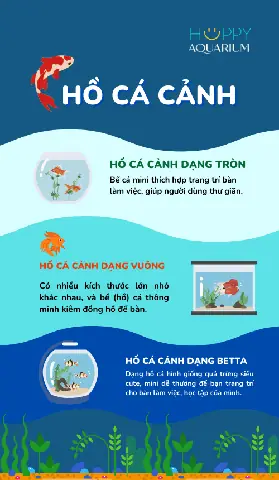 Cá Cảnh | Phụ Kiện Thủy Sinh - Thế Giới Cá Cảnh Cá Cảnh | Phụ Kiện Thủy Sinh - Thế Giới Cá Cảnh