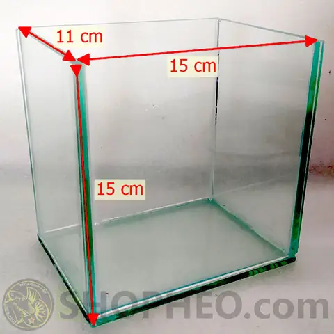 Hướng Dẫn Chi Tiết Cách Thiết Kế Và Chăm Sóc Hồ Nuôi Cá Xiêm Cho Người Mới Bắt Đầu Hướng Dẫn Chi Tiết Cách Thiết Kế Và Chăm Sóc Hồ Nuôi Cá Xiêm Cho Người Mới Bắt Đầu