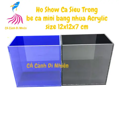 Hồ Show Cá Siêu Trong Keo Show Guppy Betta Bể Cá Mini Bằng Nhựa Acrylic 12x12x7 Cm