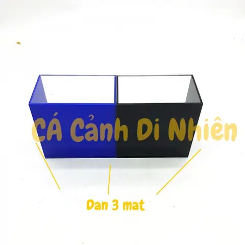 Hồ Show Cá Siêu Trong Keo Show Guppy Betta Bể Cá Mini Bằng Nhựa Acrylic 12x12x7 Cm