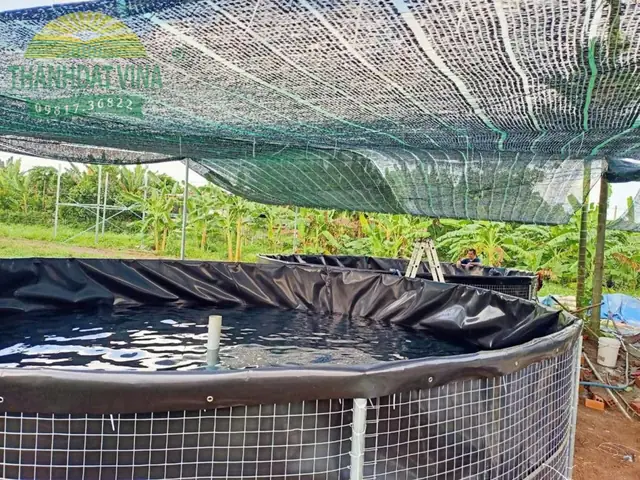 Hồ Tròn Nổi Nuôi Cá Là Gì?