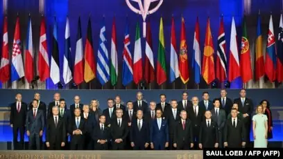 Hoạt Động Của Cá: Khi Con Người Tái Định Vị Không Gian Sống Hoạt Động Của Cá: Khi Con Người Tái Định Vị Không Gian Sống