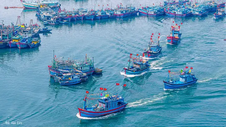 Cây Thủy Sinh Và Trang Trí Bể Cá Cây Thủy Sinh Và Trang Trí Bể Cá