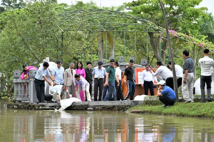 Hội Cá Cảnh Hải Phòng