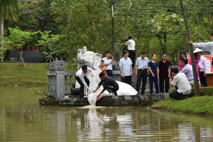 Hội Cá Cảnh Hải Phòng