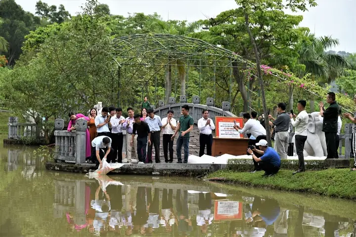 Hội Cá Cảnh Hải Phòng