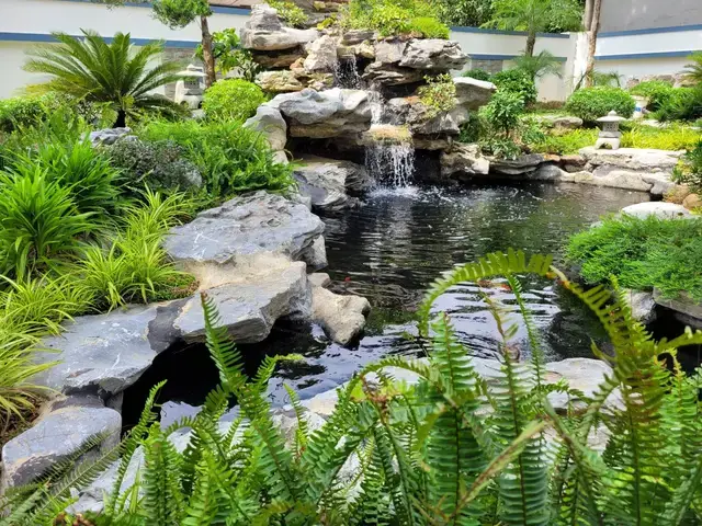 Các Câu Hỏi Thường Gặp (faq) Về Hòn Non Bộ Hồ Cá Nhỏ