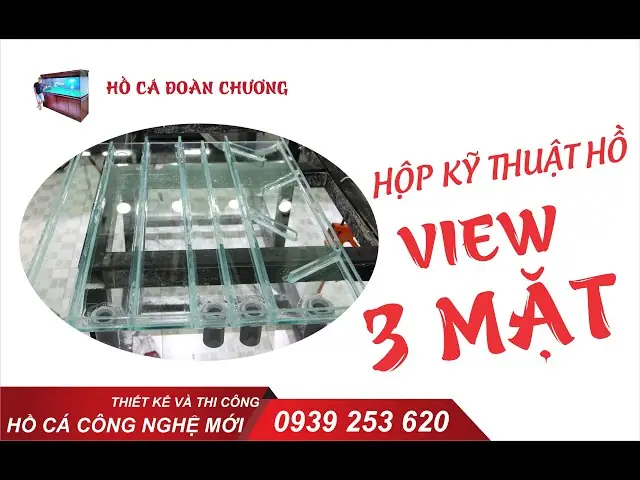 Hộp Kỹ Thuật Bể Cá Rồng Là Gì Và Cách Lắp Đặt, Vận Hành Hiệu Quả Hộp Kỹ Thuật Bể Cá Rồng Là Gì Và Cách Lắp Đặt, Vận Hành Hiệu Quả
