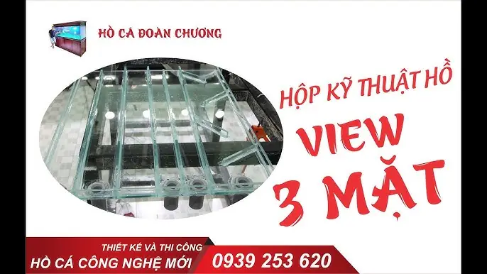 Hộp Kỹ Thuật Bể Cá Rồng Là Gì Và Cách Lắp Đặt, Vận Hành Hiệu Quả Hộp Kỹ Thuật Bể Cá Rồng Là Gì Và Cách Lắp Đặt, Vận Hành Hiệu Quả