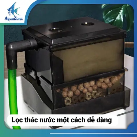 Hộp Lọc Nước Hồ Cá: Cẩm Nang Chọn Mua & Sử Dụng Hiệu Quả