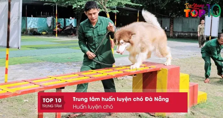 Huấn Luyện Chó