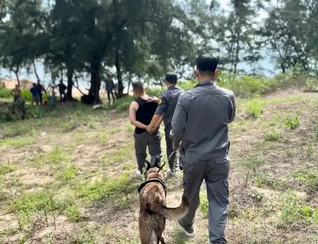 Huấn Luyện Chó Nghiệp Vụ Công An Huấn Luyện Chó Nghiệp Vụ Công An