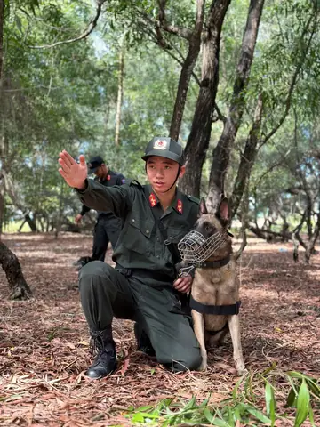 Huấn Luyện Chó Nghiệp Vụ Công An Huấn Luyện Chó Nghiệp Vụ Công An