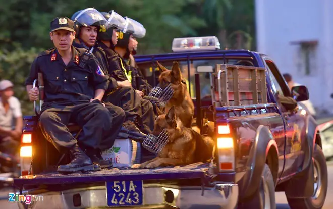 Huấn Luyện Chó Nghiệp Vụ Việt Nam