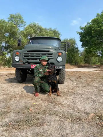 Huấn Luyện Chó Quận 7