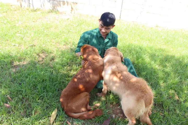 Chúng Tôi Thiết Kế 4 Chương Trình Huấn Luyện Chó Chuyên Biệt