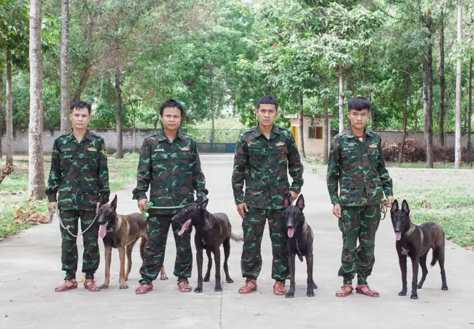 Huấn Luyện Chó Quận 7